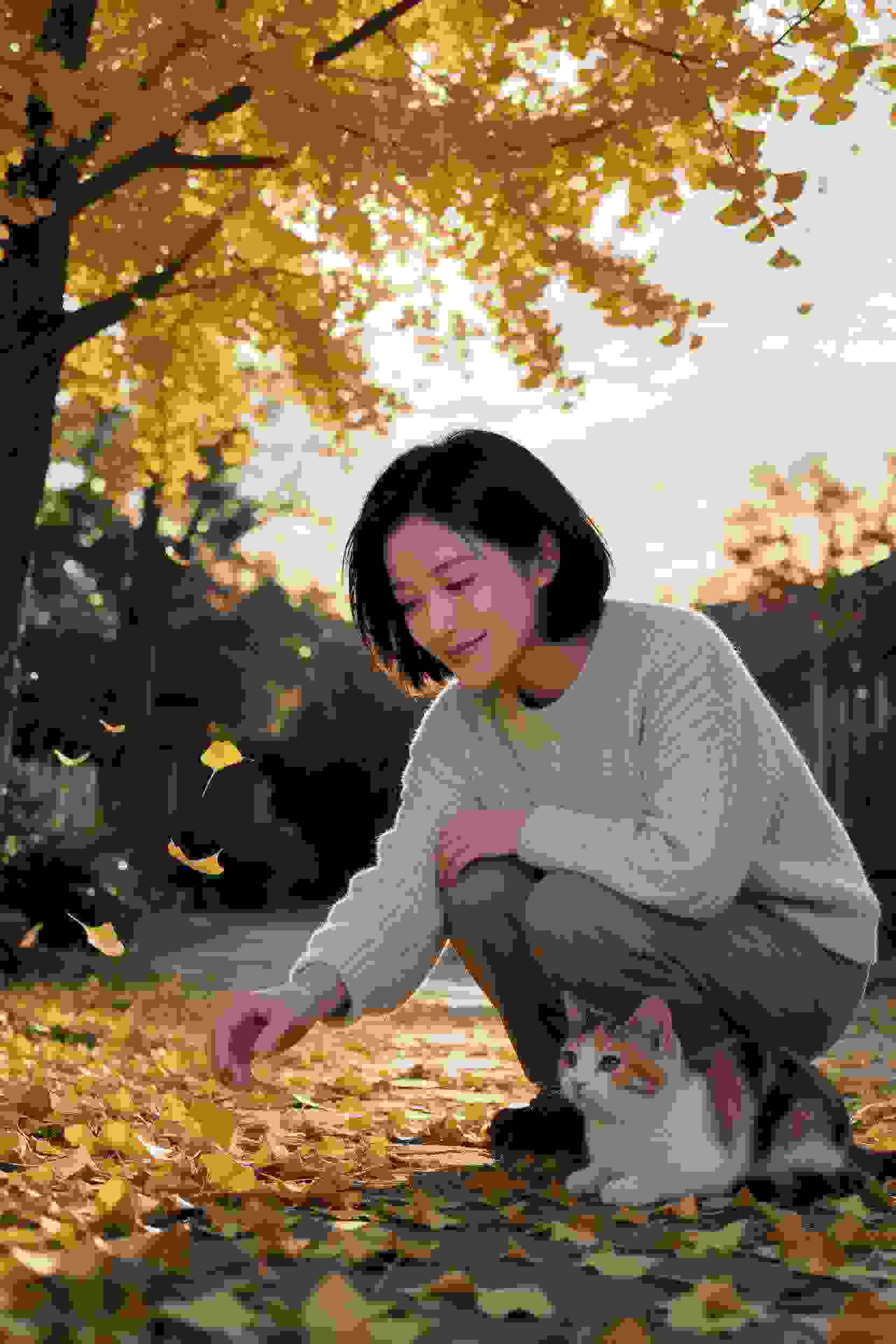 动漫推荐